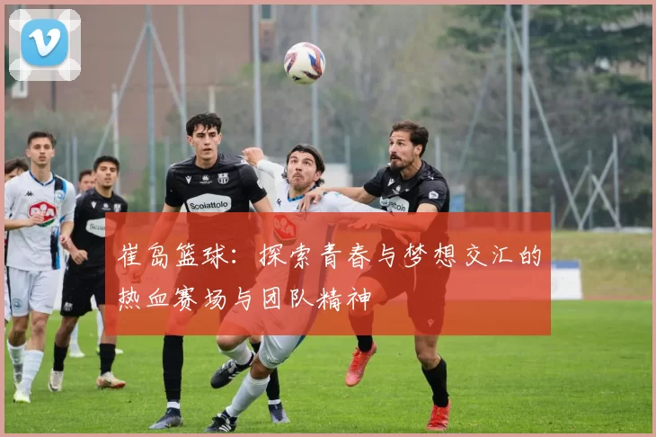 崔岛篮球：探索青春与梦想交汇的热血赛场与团队精神