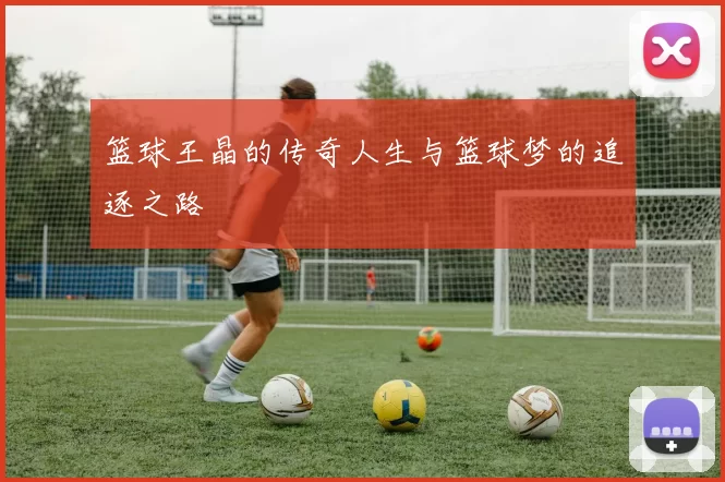 篮球王晶的传奇人生与篮球梦的追逐之路